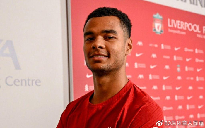 的担当文化 的担当文化